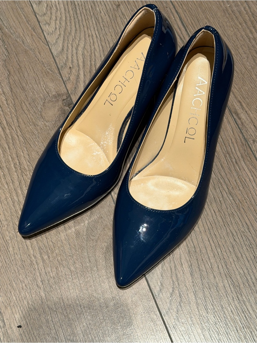AAGricol Navy Patent Pointed-Toe Pumps